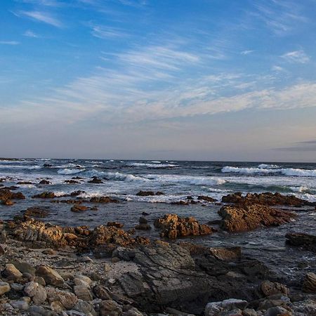 Snails' End Cottage Hermanus Εξωτερικό φωτογραφία